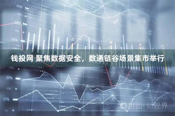 钱投网 聚焦数据安全，数通链谷场景集市举行